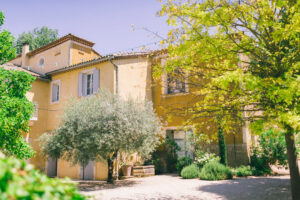 bastide blanche fleur avec oliviers et arbres