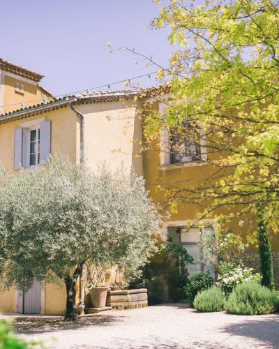 bastide blanche fleur avec oliviers et arbres