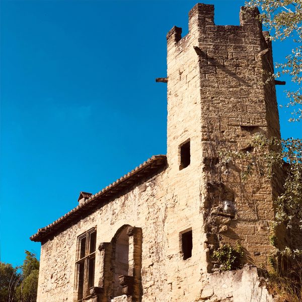 Ruines abbaye Blanche Fleur